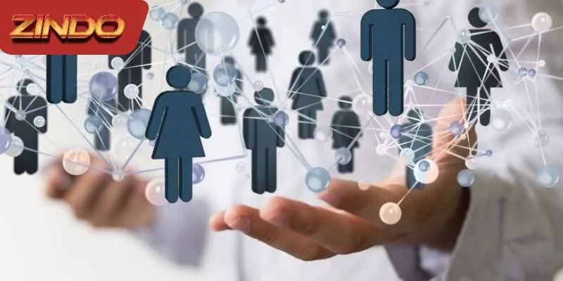 Giới thiệu về đại lý ZINDO