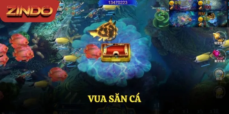Vua săn cá